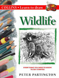 Collins Learn to Draw – Wildlife: A Step-by-Step Guide to Drawing Success (Collins Learn to Draw S.)