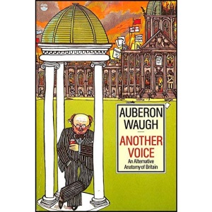 Another Voice
