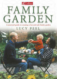 Family Garden: A practical guide to creating a fun and safe family garden