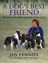 A Dog’s Best Friend: The Secrets That Make Good Dog Owners Great