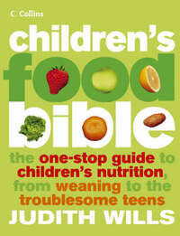 Children’s Food Bible