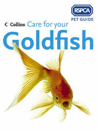 RSPCA Pet Guide - Care for your Goldfish