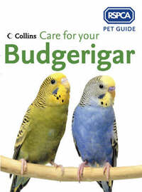 Care for your Budgerigar (RSPCA Pet Guide)