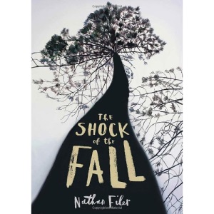 The Shock of the Fall: WINNER OF THE COSTA BOOK OF THE YEAR 2013