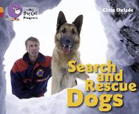 Search and Rescue Dogs