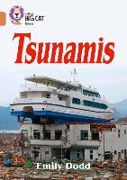 Tsunamis