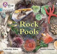 Rock Pools