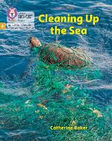 Cleaning up the Sea