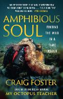 Amphibious Soul