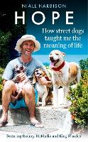 Hope – How Street Dogs Taught Me the Meaning of Life