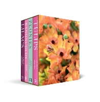 Beautiful Varieties Boxset