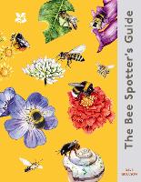 The Bee Spotter’s Guide