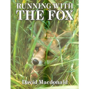 Running with the Fox