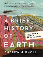 A Brief History of Earth