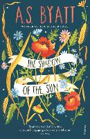 The Shadow of the Sun