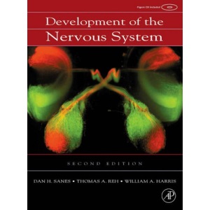 Development of the Nervous System