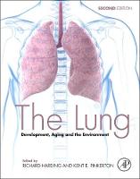 The Lung