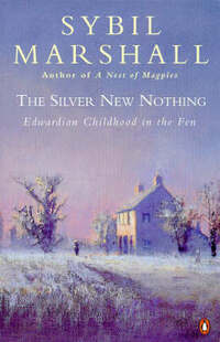 The Silver New Nothing: Edwaridan Childhood in the Fen: Edwardian Childhood in the Fen