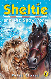 Sheltie and the Snow Pony