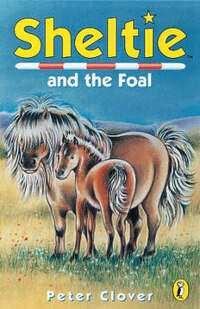Sheltie 22: Sheltie and the Foal