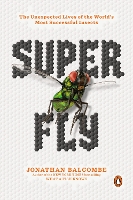 Super Fly