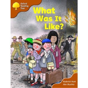 Oxford Reading Tree: Stage 8: More Storybooks (Magic Key): What Was It Like?