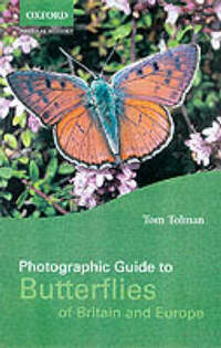 Photographic Guide to the Butterflies of Britain and Europe