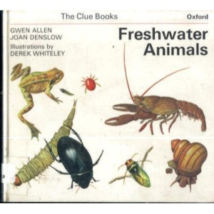 Freshwater Animals (Clue Books)