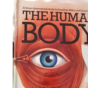 The Human Body
