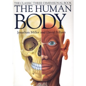 The Human Body in 3 Dimensions