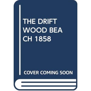 The Driftwood Beach
