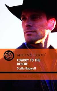 Cowboy to the Rescue (Mills & Boon Special Moments)