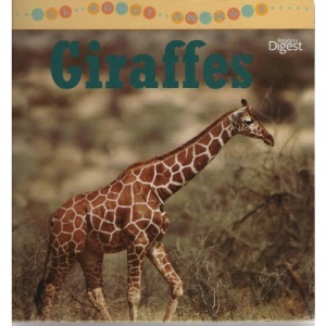 All About Animals: Giraffes