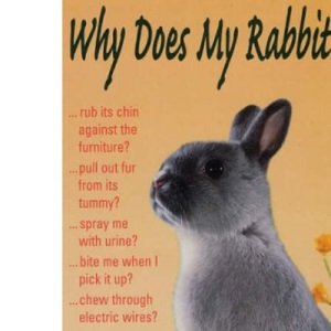 Why Does My Rabbit...?
