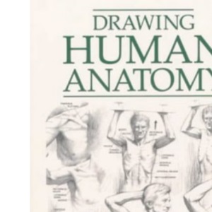 Drawing Human Anatomy