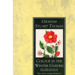 Colour in the Winter Garden