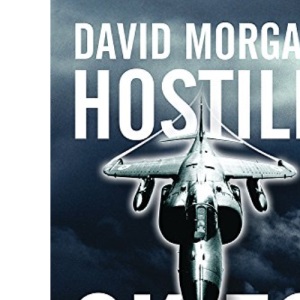 Hostile Skies