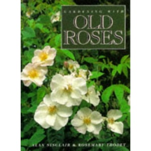 Gardening with Old Roses
