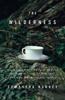The Wilderness