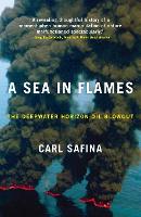 A Sea in Flames