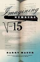 Imagining Numbers