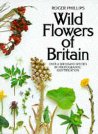 Wild Flowers of Britain: Over a Thousand Species By Photographic Identification (A Pan Original)