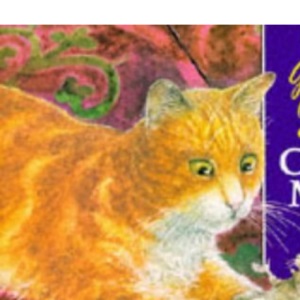 The Church Mouse (Picturemac)