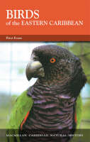 Birds Of The Eastern Caribbean