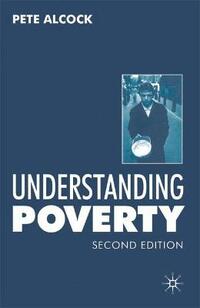 Understanding Poverty