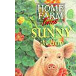 Sunny The Hero: 25 (Home Farm Twins)