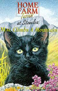 Mac Climbs A Mountain: 1 (Home Farm Twins)