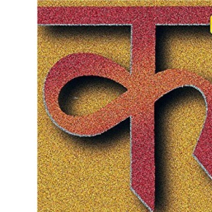 Teach Yourself Hindi Dictionary (TYD)