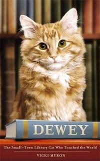 Dewey: The small-town library-cat who touched the world: A Small Town, a Library and the World's Most Beloved Cat