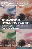 Reimagining Probation Practice